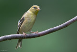 7B7D5487.jpg