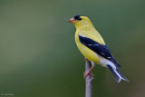 7B7D5669.jpg