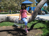 IMG_5290.JPG