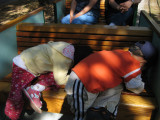 IMG_5406.JPG