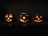 IMG_5621.JPG