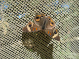 IMG_5225.JPG
