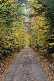 The Last Colors on A Trail