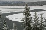 Hayden Valley