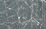 cobweb-window100pc.jpg