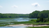 Cape Cod