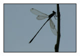 13 oktober 2006