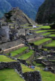 Aguas Calientes & Machu Picchu