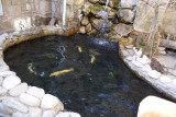Fish pond near Stalins museum