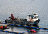 Hamarsklettur