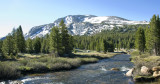 Tioga Road-03.jpg