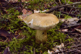 _DSC0057ret.JPG