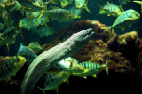 DSC_0079ret.JPG