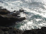 DSC02744.JPG