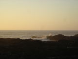 DSC02779.JPG