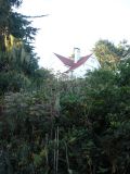 DSC03007.JPG