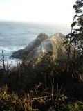 DSC03019.JPG