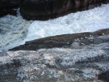 DSC03071.JPG