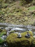 DSC02657.JPG