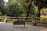 A Quiet Place in Saddle River, NJ