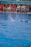 20080726 En Route vers Pkin - Equipe Olympique de nage synchronise &  de Plongeon 0012.jpg