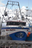 Frenchmans Cove - Bâteaux pict3499.jpg
