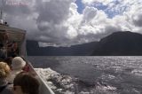 Parc national Gros Morne - Western Brook Pond le fjord pict3572.jpg