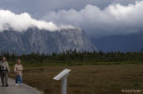 Parc national Gros Morne - Western Brook Pond le marais pict3653.jpg