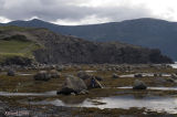 Parc national Gros Morne - Rocky Harbour Les berges pict3665.jpg