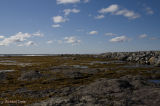 Parc national Gros Morne - Rocky Harbour Les berges pict3666.jpg