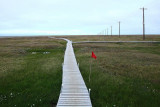 BEO Boardwalk for Tundra Research