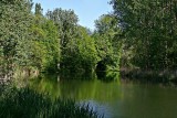 The Danube at Dillingen