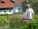 Daniel and his Flowers