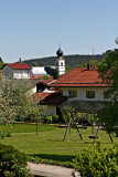 IMG_1803.jpg