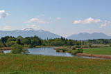 IMG_1812.jpg