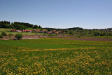 IMG_1829.jpg
