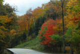 Scenic drive in Acadia