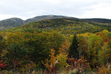 Acadia