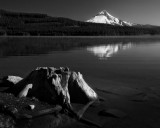 Timothy Lake BW