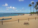 Turtle Bay, North Shore