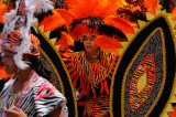 171 Junior Caribana Tiger warrior 2.jpg