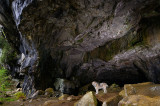 167 Greigs Scenic Caves 3.jpg