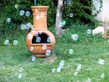 Backyard Bubbles ~ October 12th