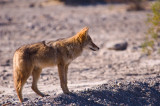 death_valley_national_park