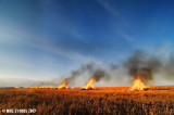 Stubble Burning At Sunset