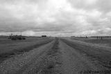 Hallonquist Saskatchewan In Black & White