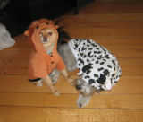 Pookie and Mika dont move when the costumes are on