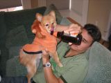 BEER DOG