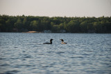 DSC_1191.jpg