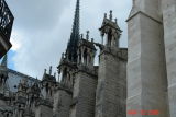 notre dame1.JPG